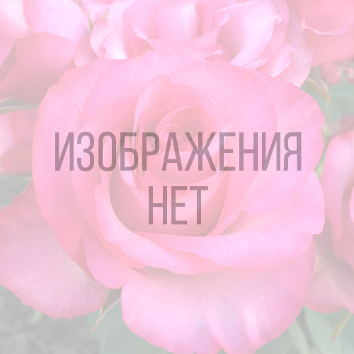 Шарафуга